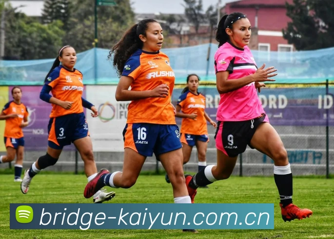 开云官网发展历程